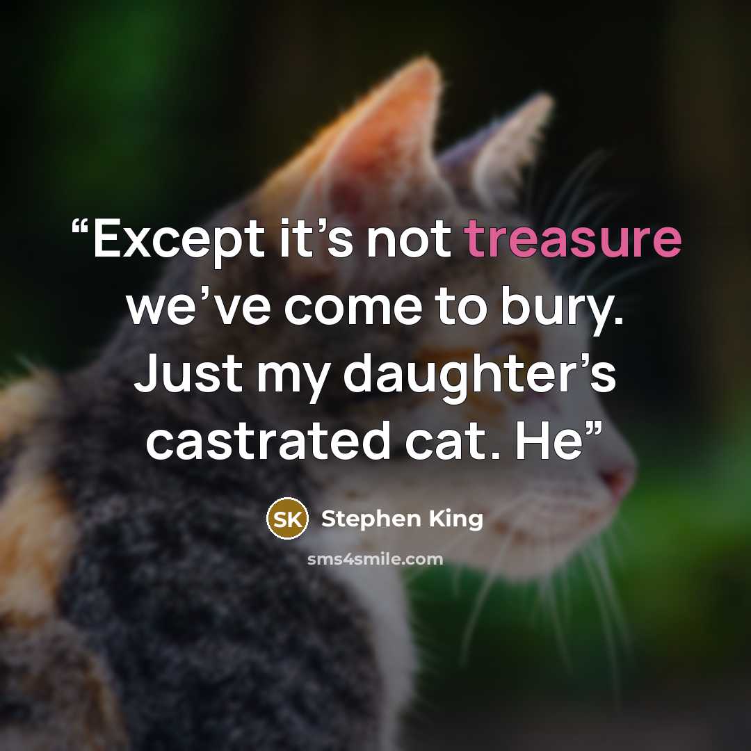 “Except it’s not treasure we’ve come to bury. Just my daughter’s castrated cat. He” quote by Stephen King