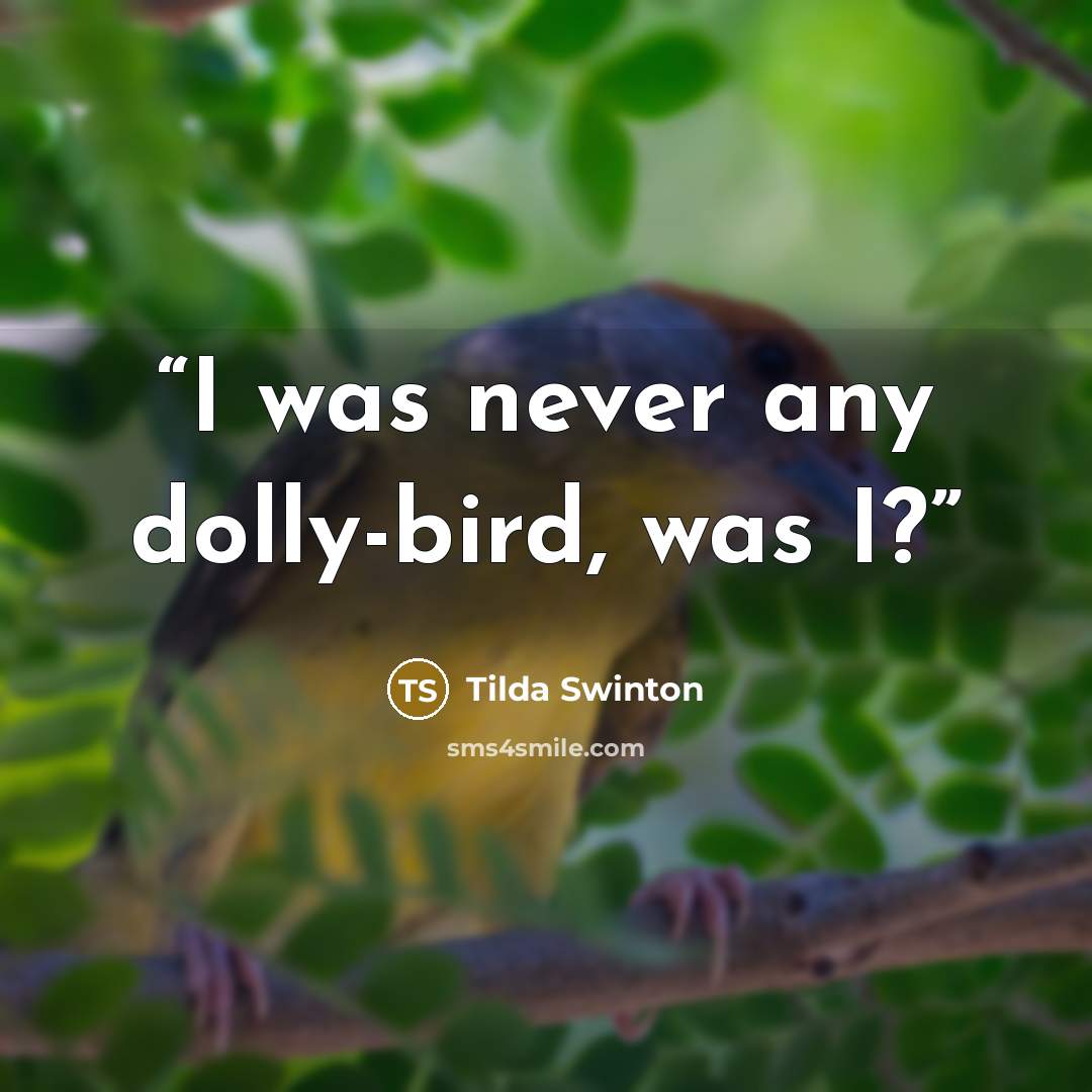 “I was never any dolly-bird, was I?” quote by Tilda Swinton