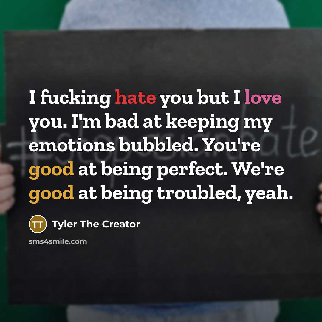 “I fucking hate you but I love you. I'm bad at keeping my emotions bubbled. You're good at being perfect. We're good at being troubled, yeah.” quote by Tyler The Creator