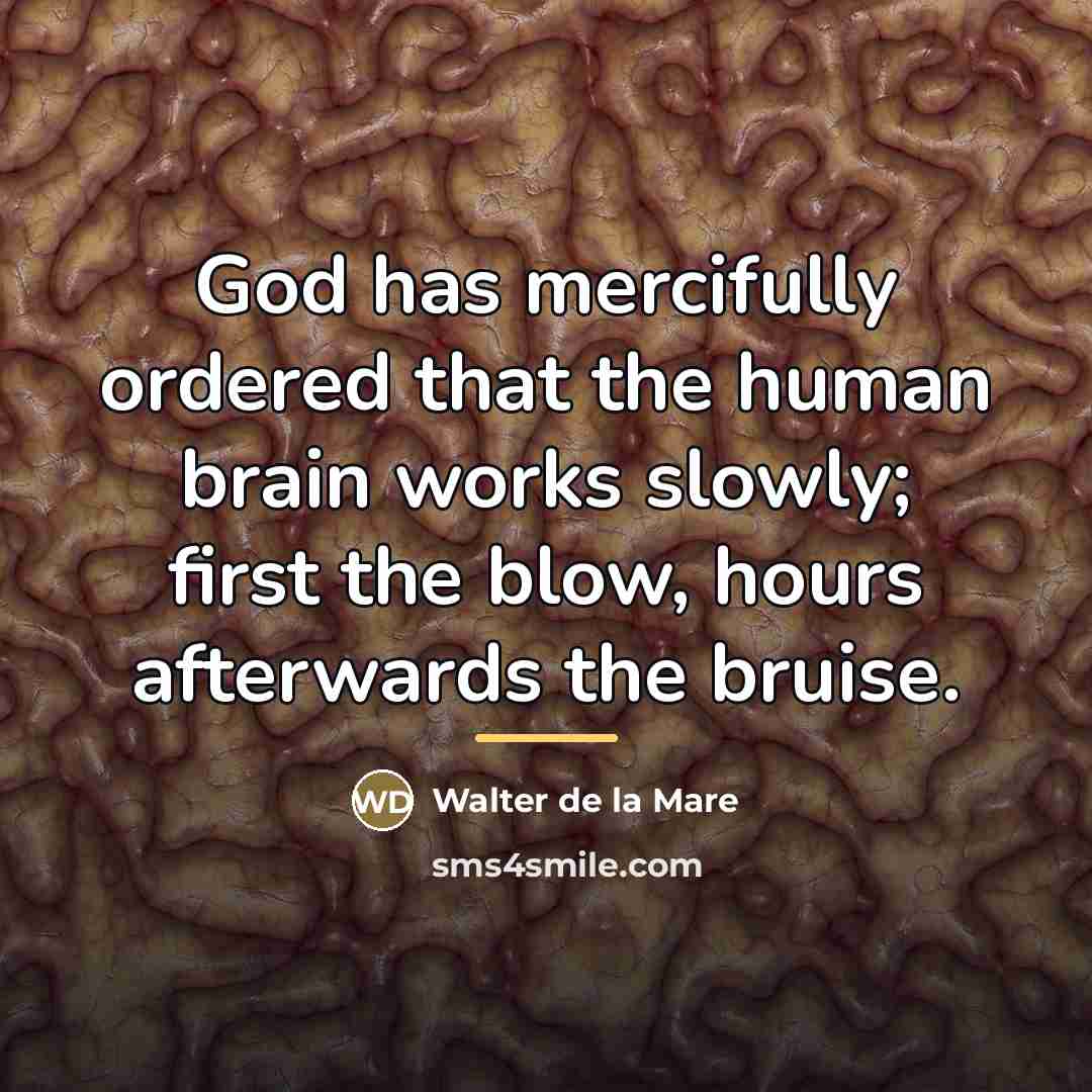 “God has mercifully ordered that the human brain works slowly;…” quote by Walter de La Mare