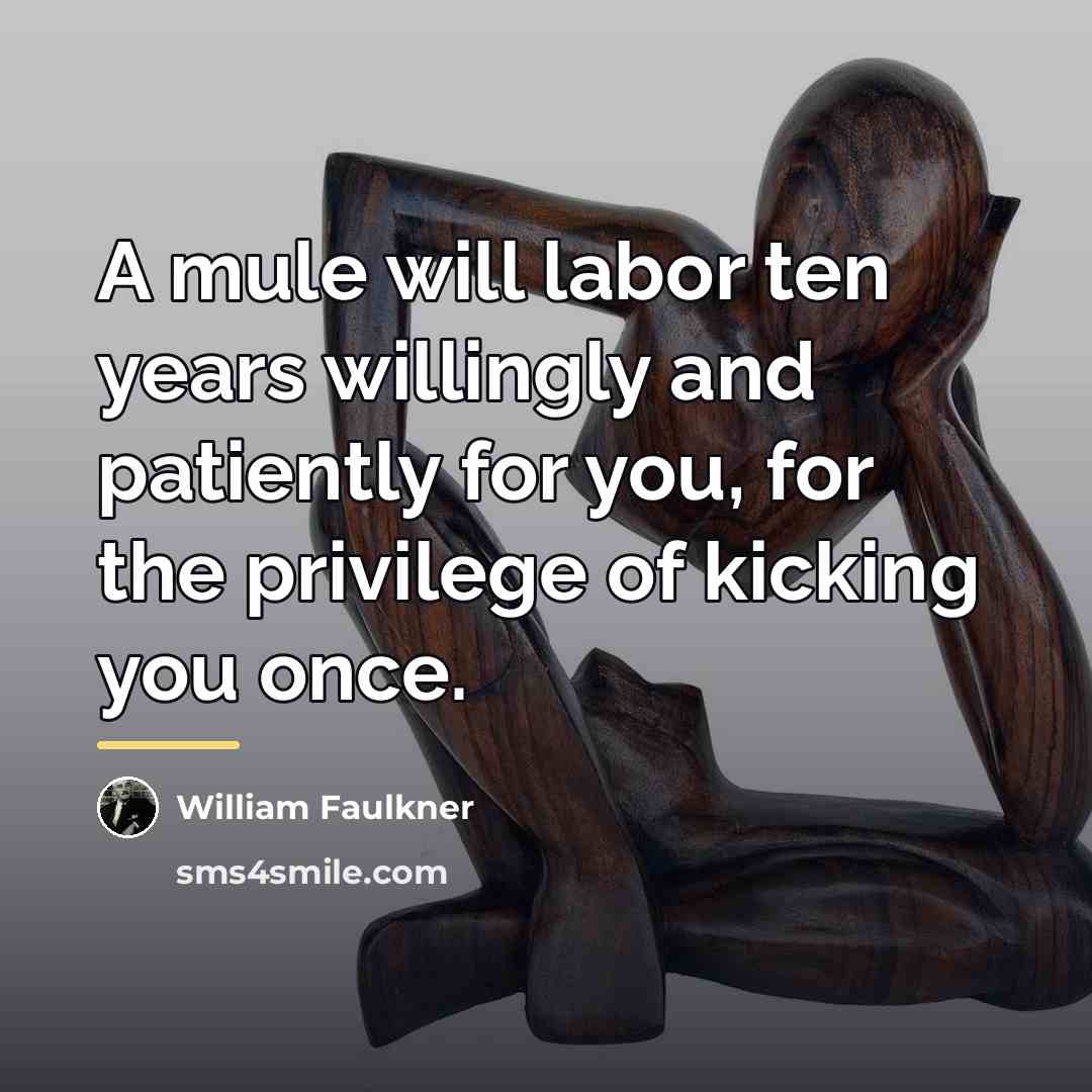 “A mule will labor ten years willingly and patiently for…” quote by William Faulkner