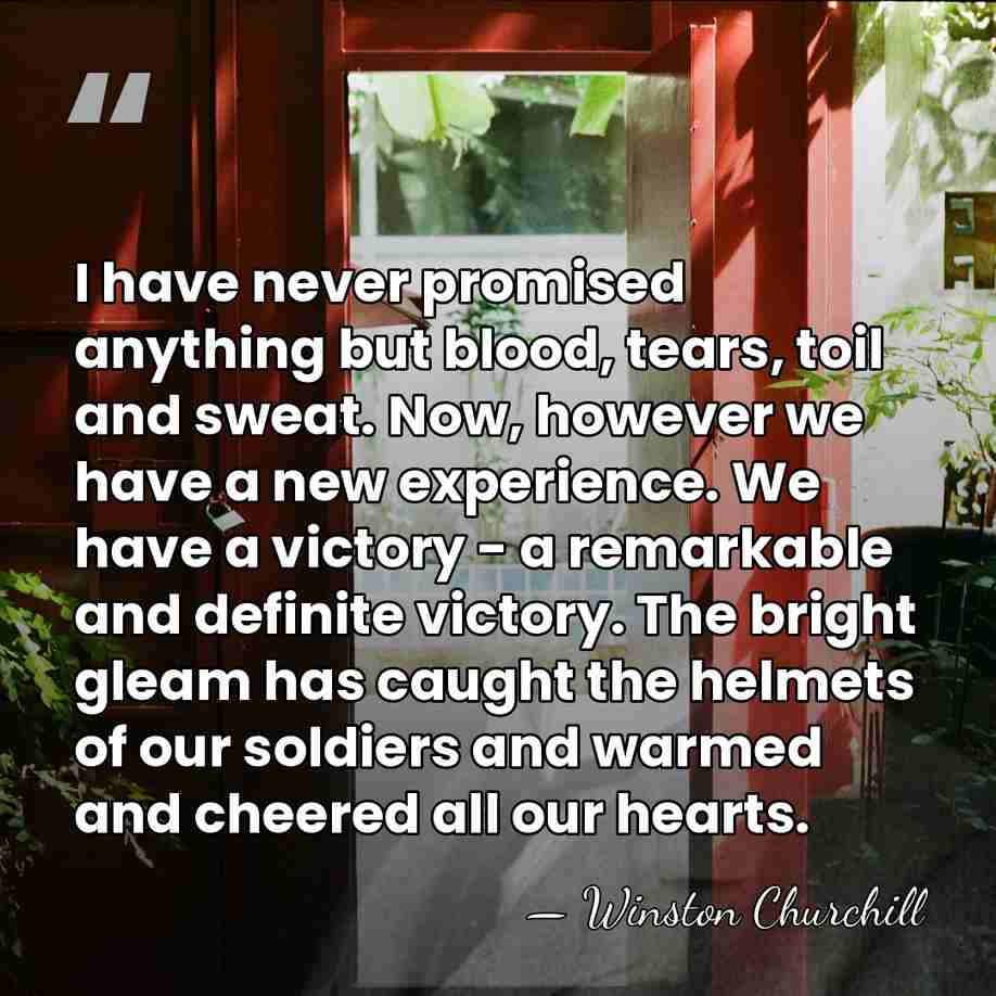 I have never promised anything but blood, tears, toil and sweat. Now,&hellip; - Winston Churchill