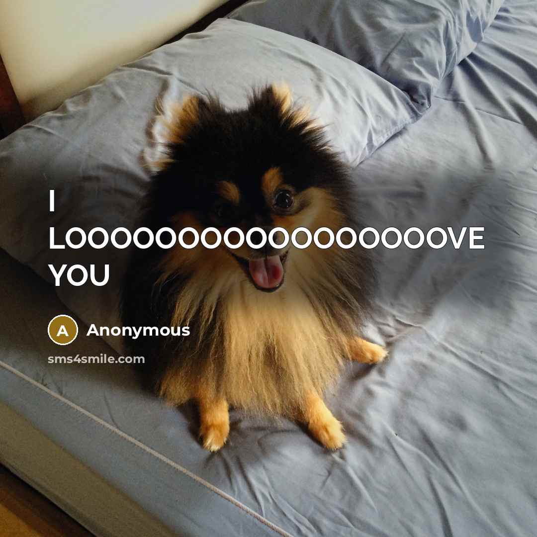 “I LOOOOOOOOOOOOOOOOOVE YOU” quote by Anonymous