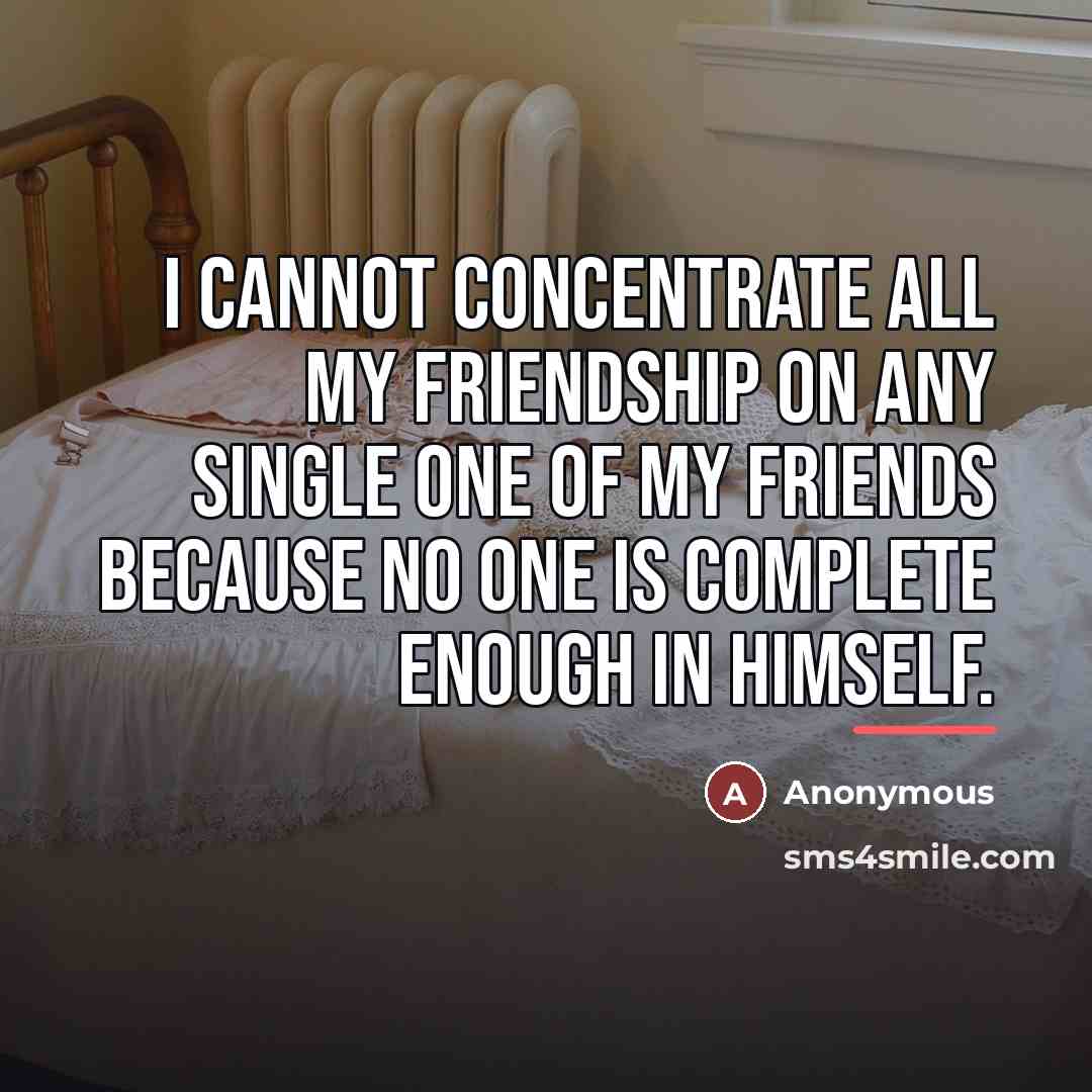 “I cannot concentrate all my friendship on any single one…” quote by Anonymous