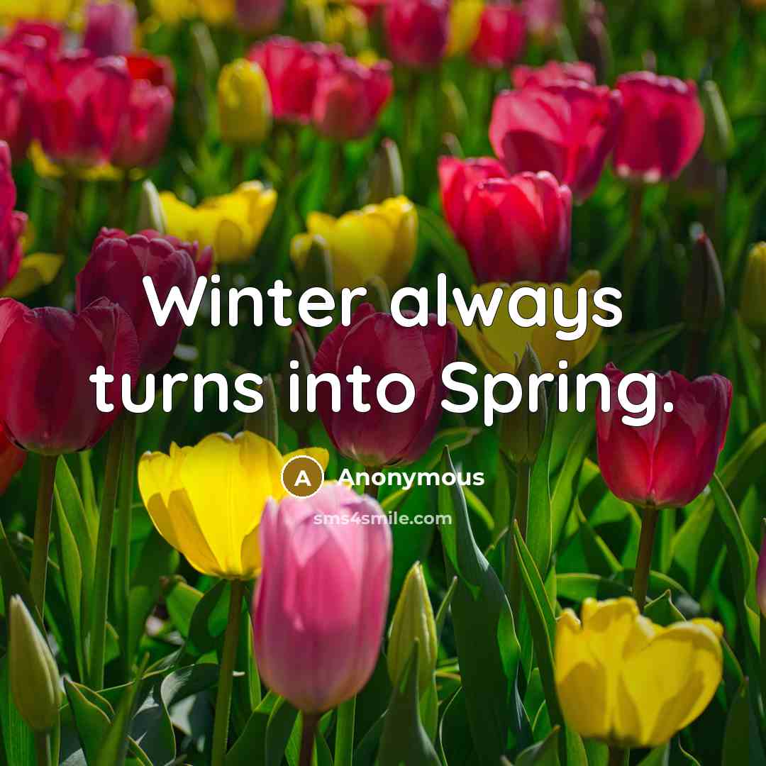 “Winter always turns into Spring.” quote by Anonymous