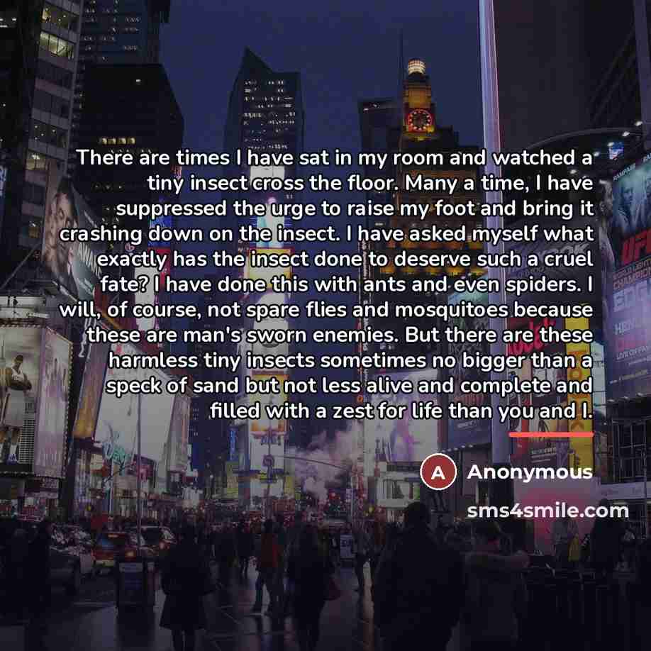 “There are times I have sat in my room and…” quote by Anonymous
