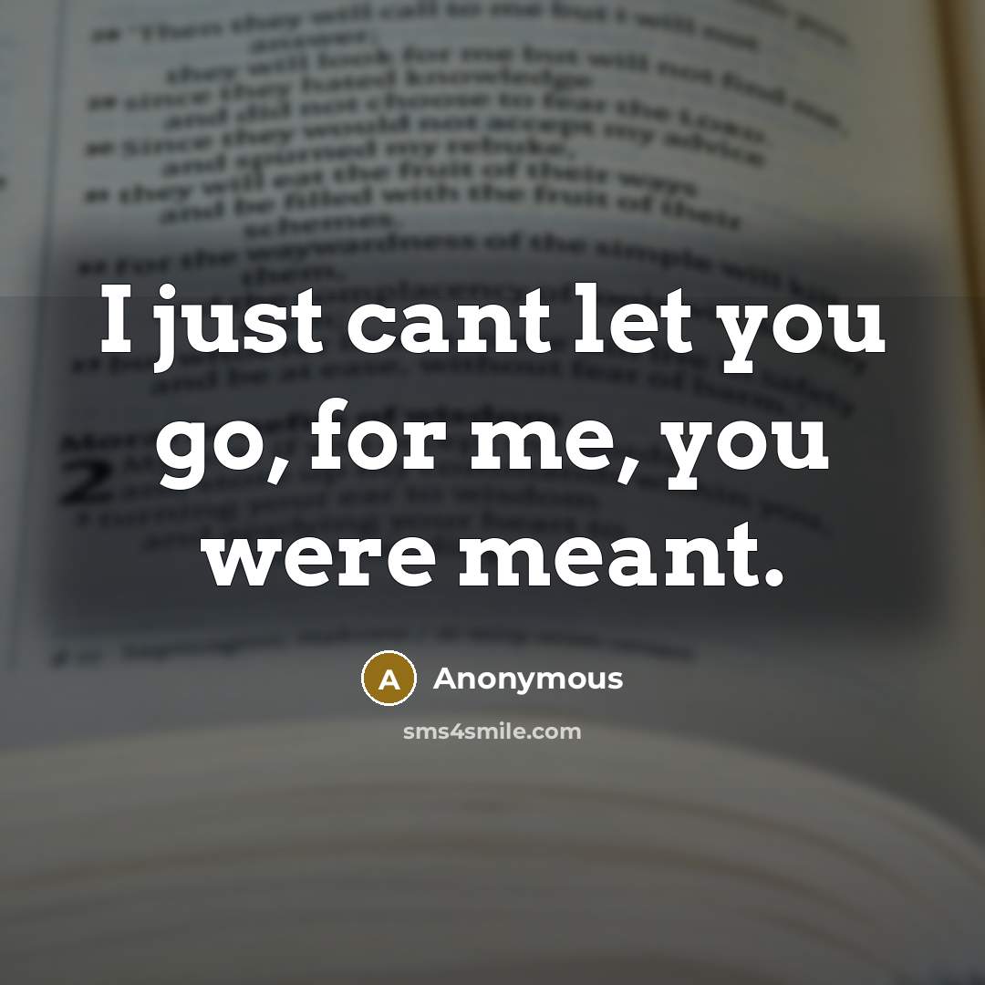 “I just cant let you go, for me, you were meant.” quote by Anonymous