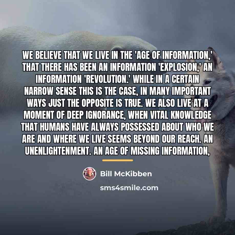 “We believe that we live in the 'age of information,'…” quote by Bill McKibben