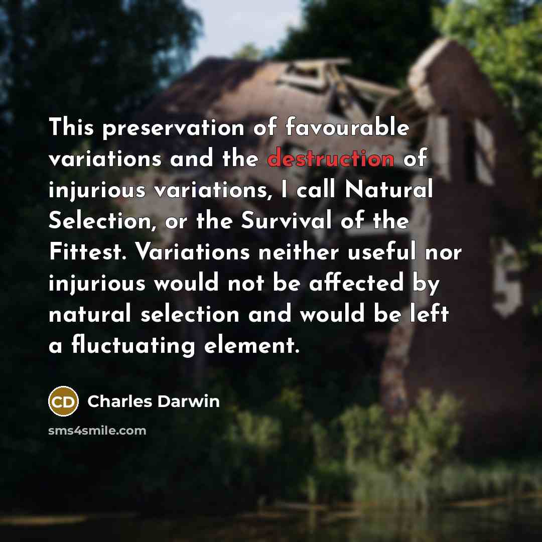 “This preservation of favourable variations and the destruction of injurious…” quote by Charles Darwin