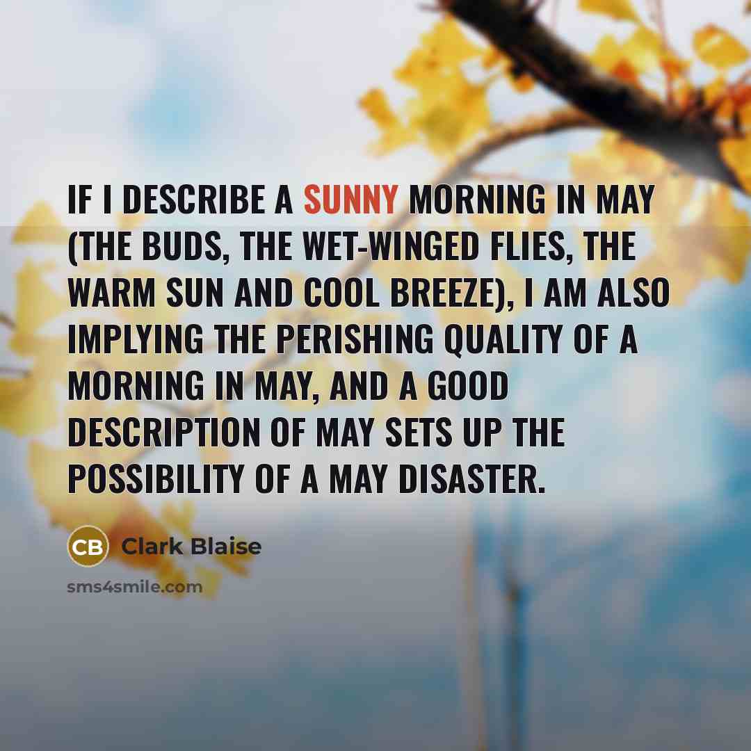 “If I describe a sunny morning in May (the buds,…” quote by Clark Blaise
