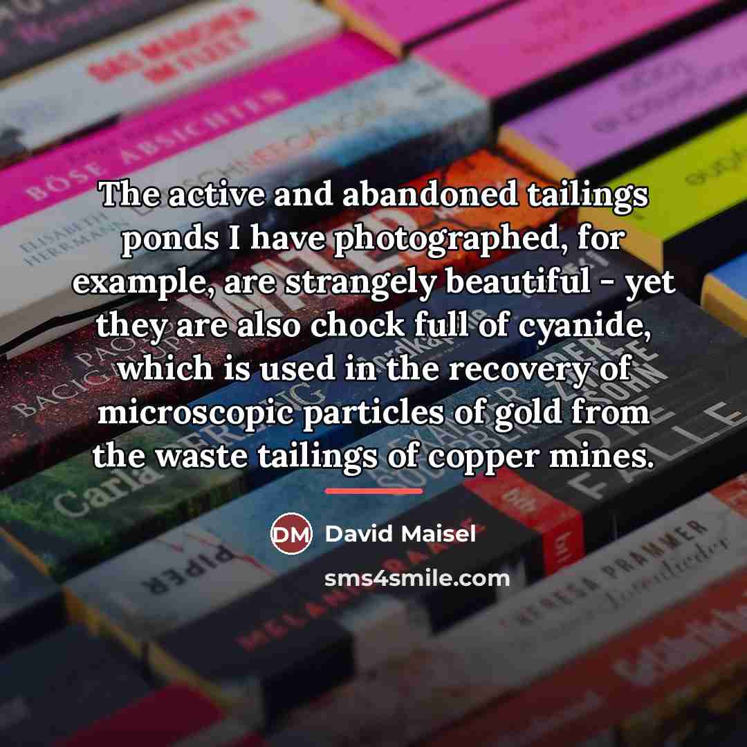 “The active and abandoned tailings ponds I have photographed, for…” quote by David Maisel