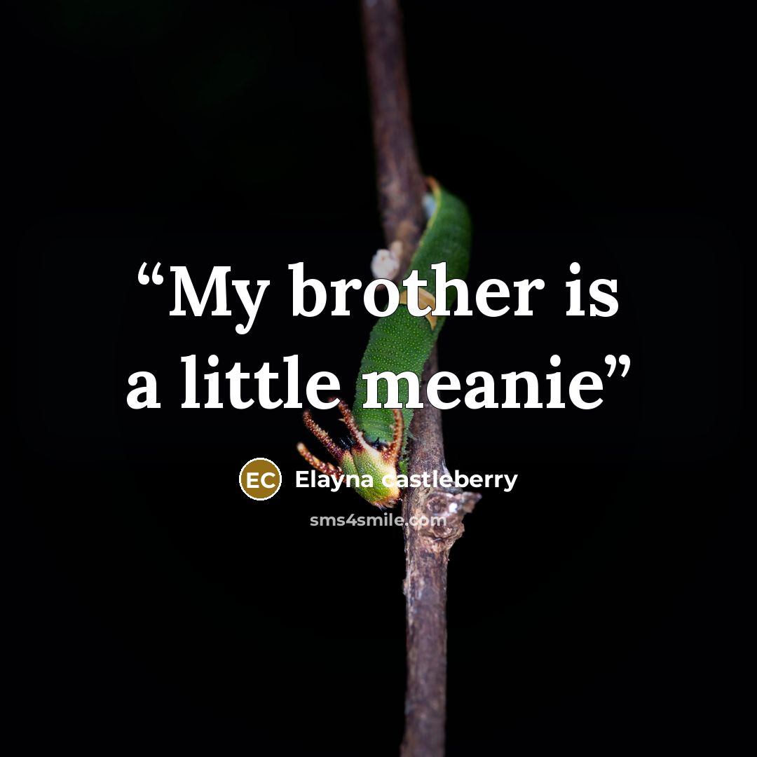 “My brother is a little meanie” quote by Elayna castleberry