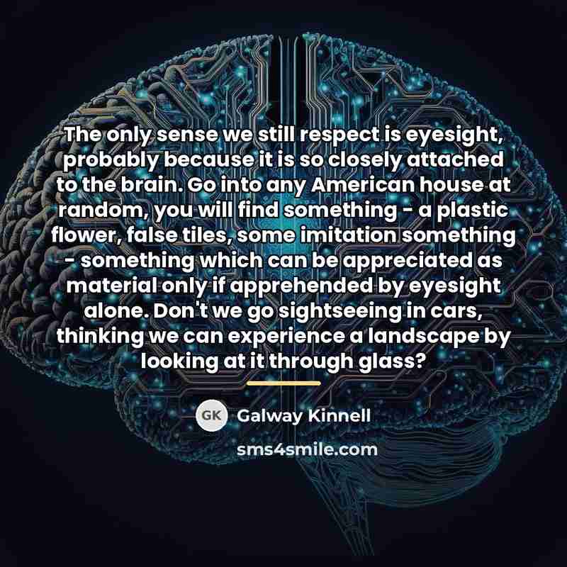 “The only sense we still respect is eyesight, probably because…” quote by Galway Kinnell