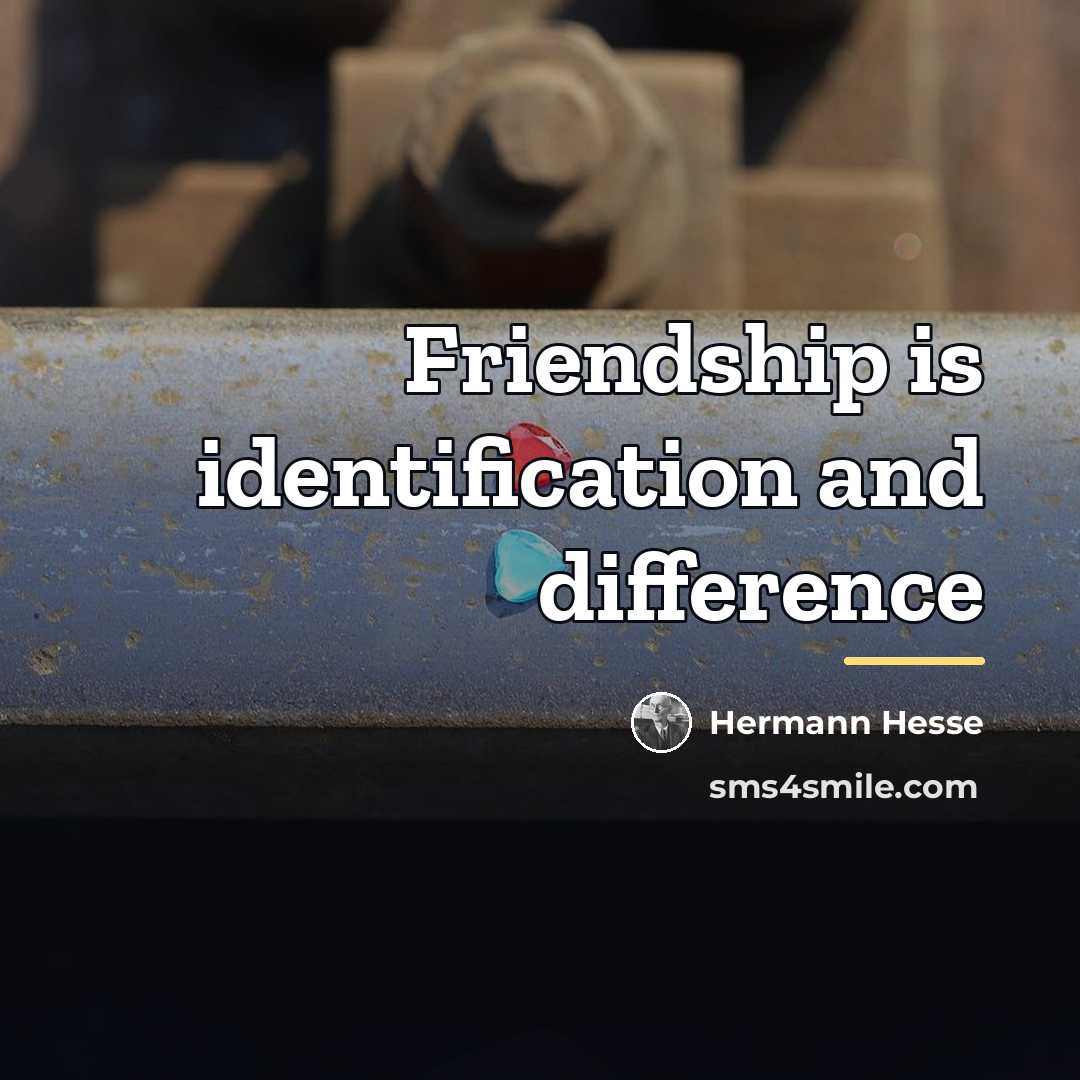 “Friendship is identification and difference…” quote by Hermann Hesse