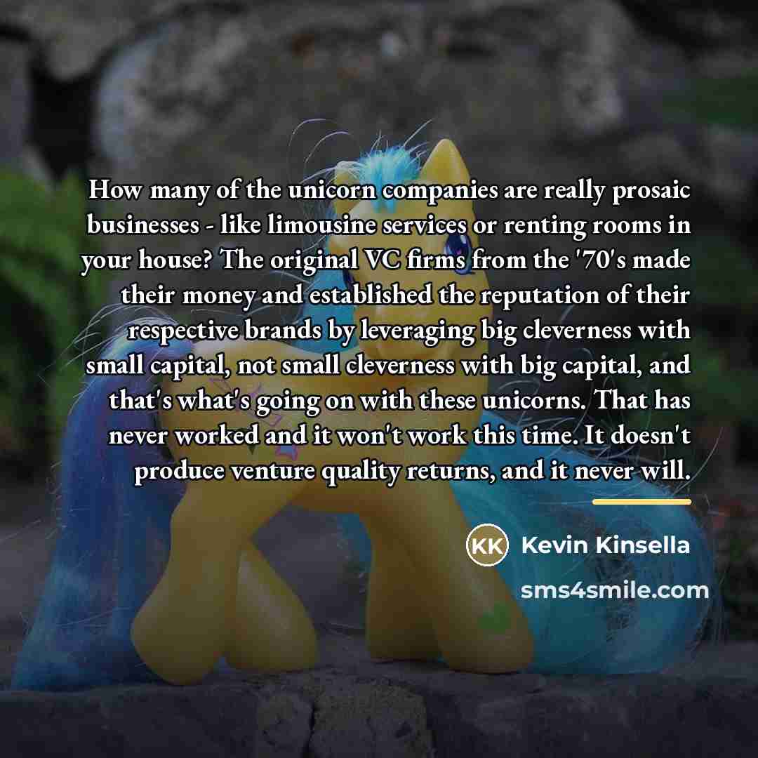 “How many of the unicorn companies are really prosaic businesses…” quote by Kevin Kinsella