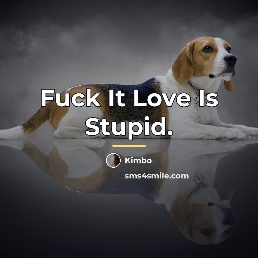 “Fuck It Love Is Stupid.…” quote by Anonymous