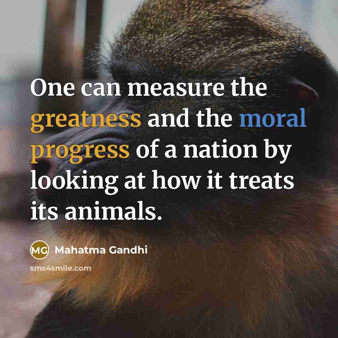 “One can measure the greatness and the moral progress of…” quote by Mahatma Gandhi