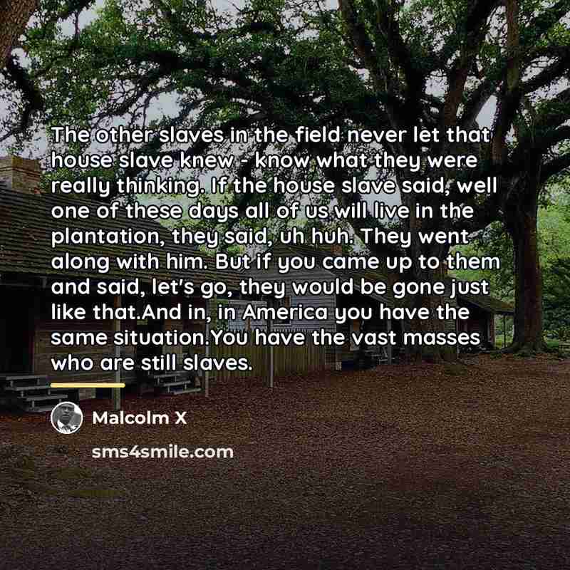 “The other slaves in the field never let that house…” quote by Malcolm X