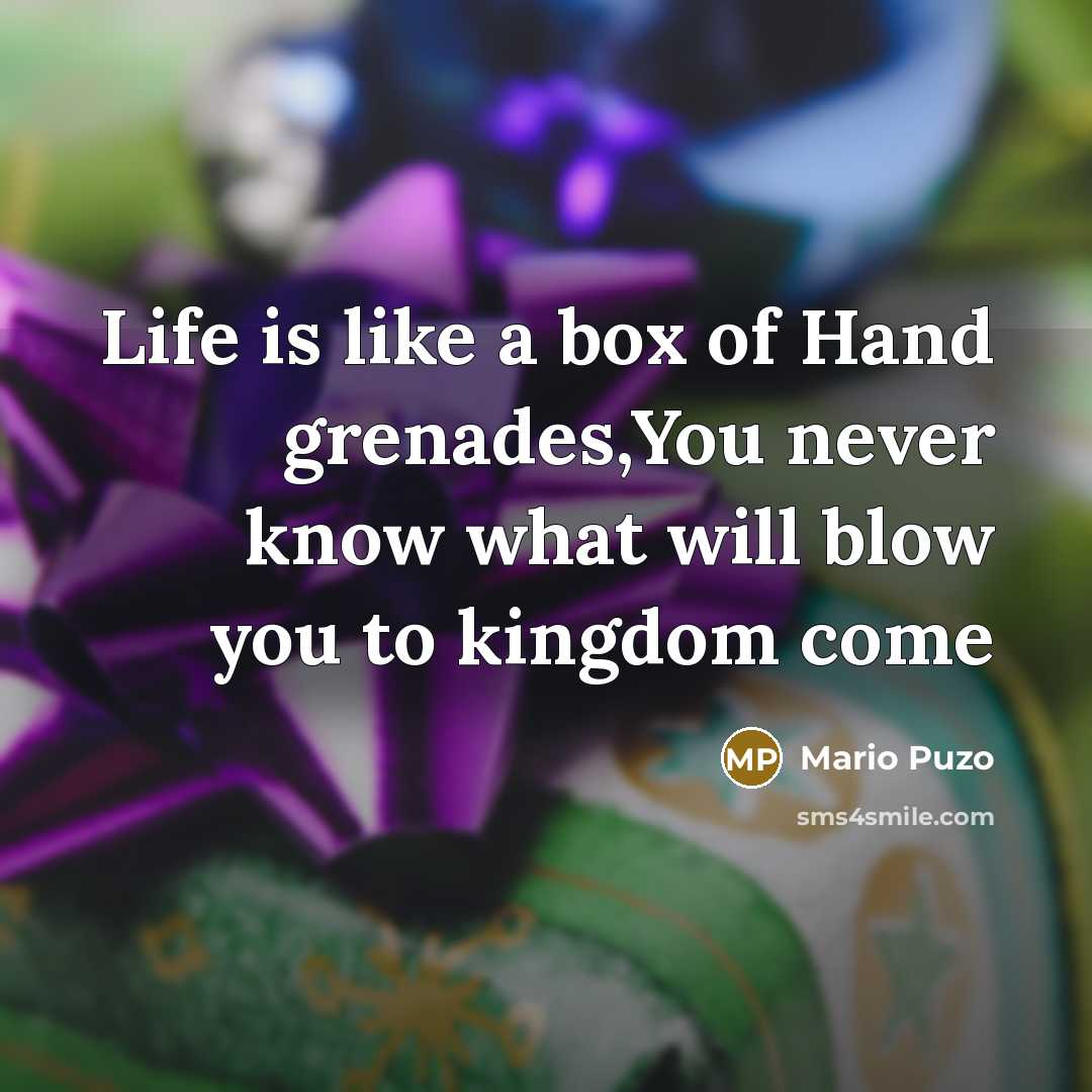 “Life is like a box of Hand grenades,You never know…” quote by Mario Puzo