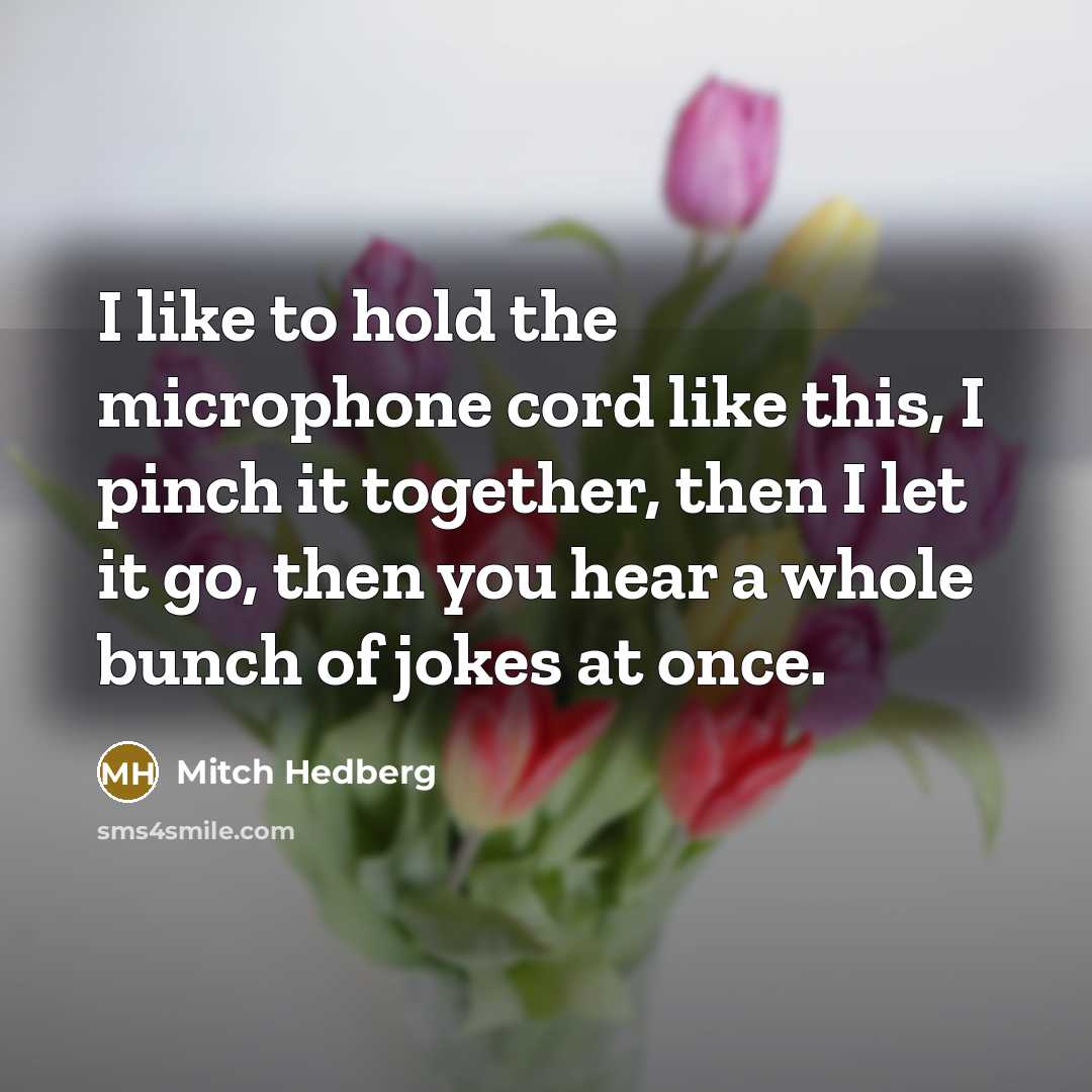 “I like to hold the microphone cord like this, I…” quote by Mitch Hedberg