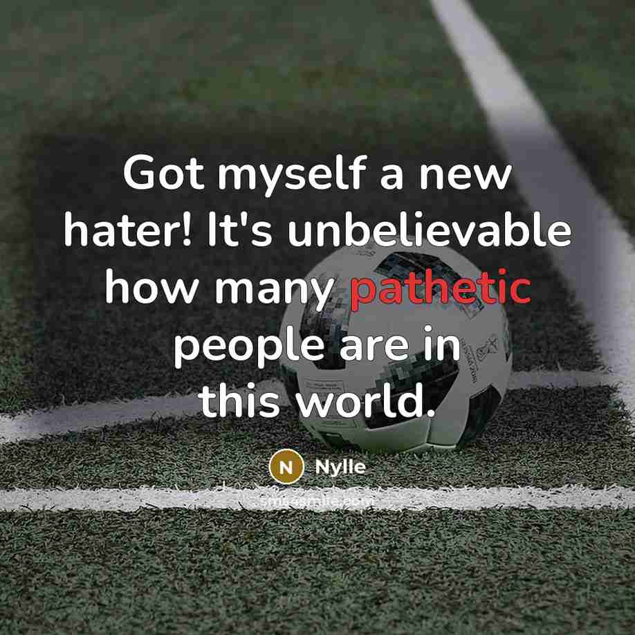 “Got myself a new hater! It's unbelievable how many pathetic people are in this world.” quote by Nylle