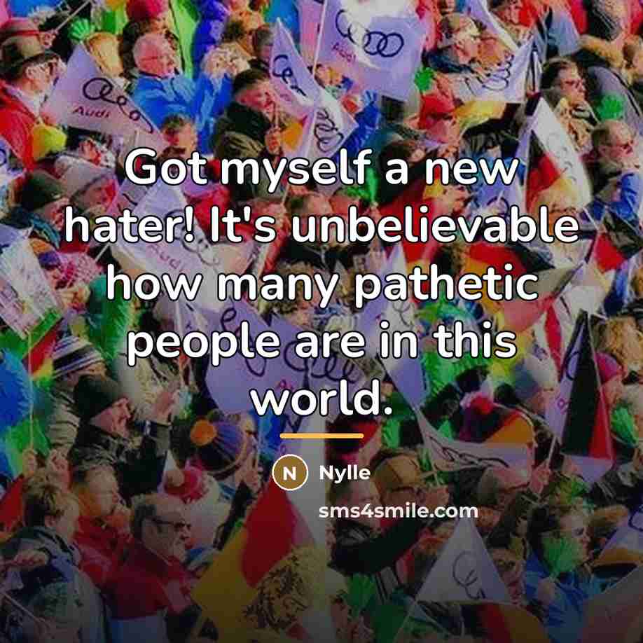 “Got myself a new hater! It's unbelievable how many pathetic…” quote by Nylle