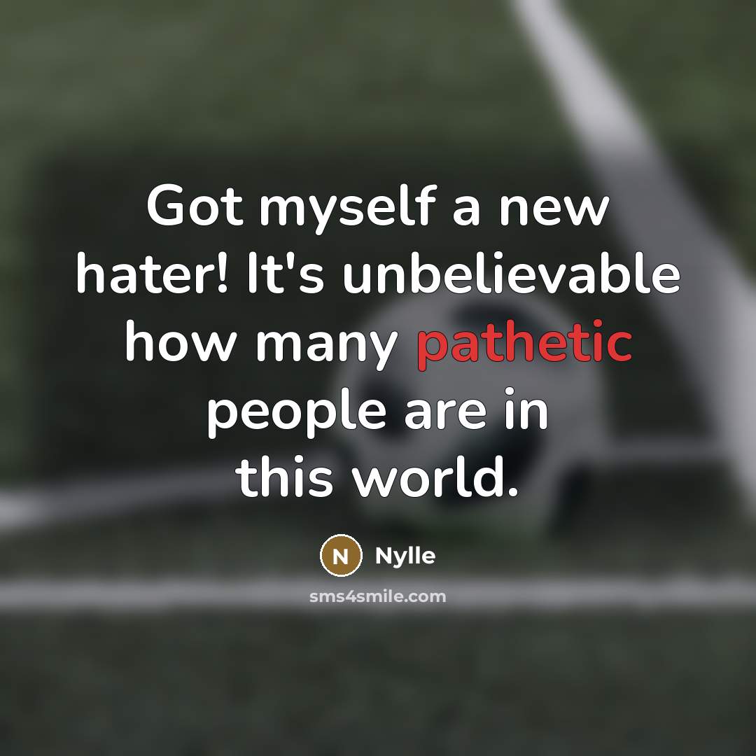 “Got myself a new hater! It's unbelievable how many pathetic people are in this world.” quote by Nylle
