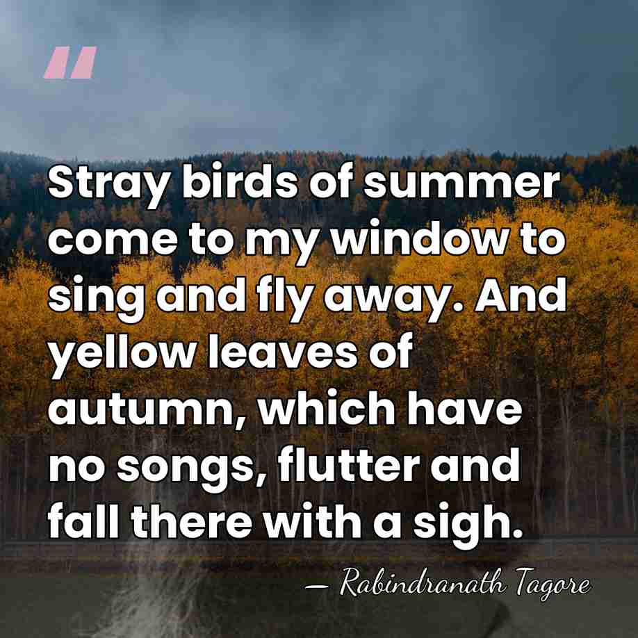 Stray birds of summer come to my window to sing and fly&hellip; - Rabindranath Tagore