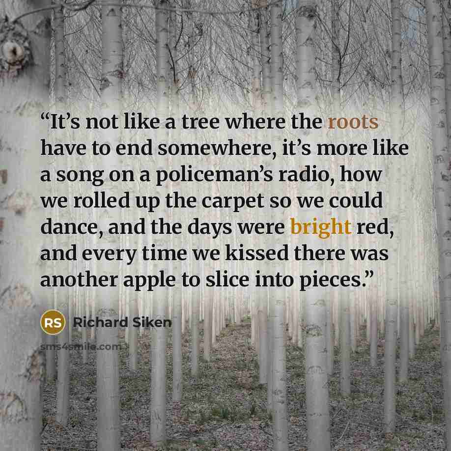 “It’s not like a tree where the roots have to end somewhere, it’s more like a song on a policeman’s radio, how we rolled up the carpet so we could dance, and the days were bright red, and every time we kissed there was another apple to slice into pieces.” quote by Richard Siken