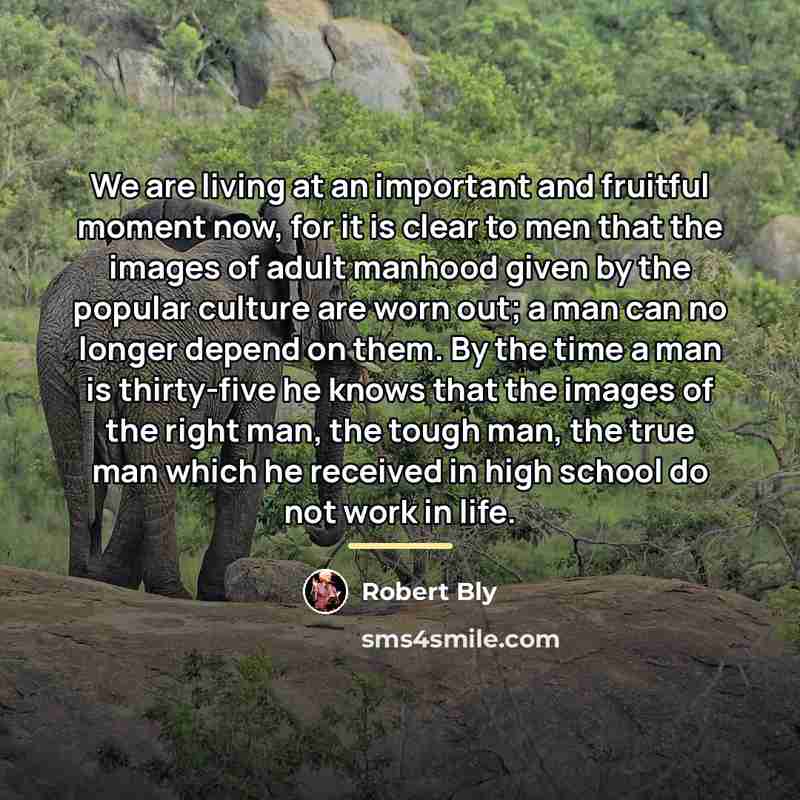 “We are living at an important and fruitful moment now,…” quote by Robert Bly