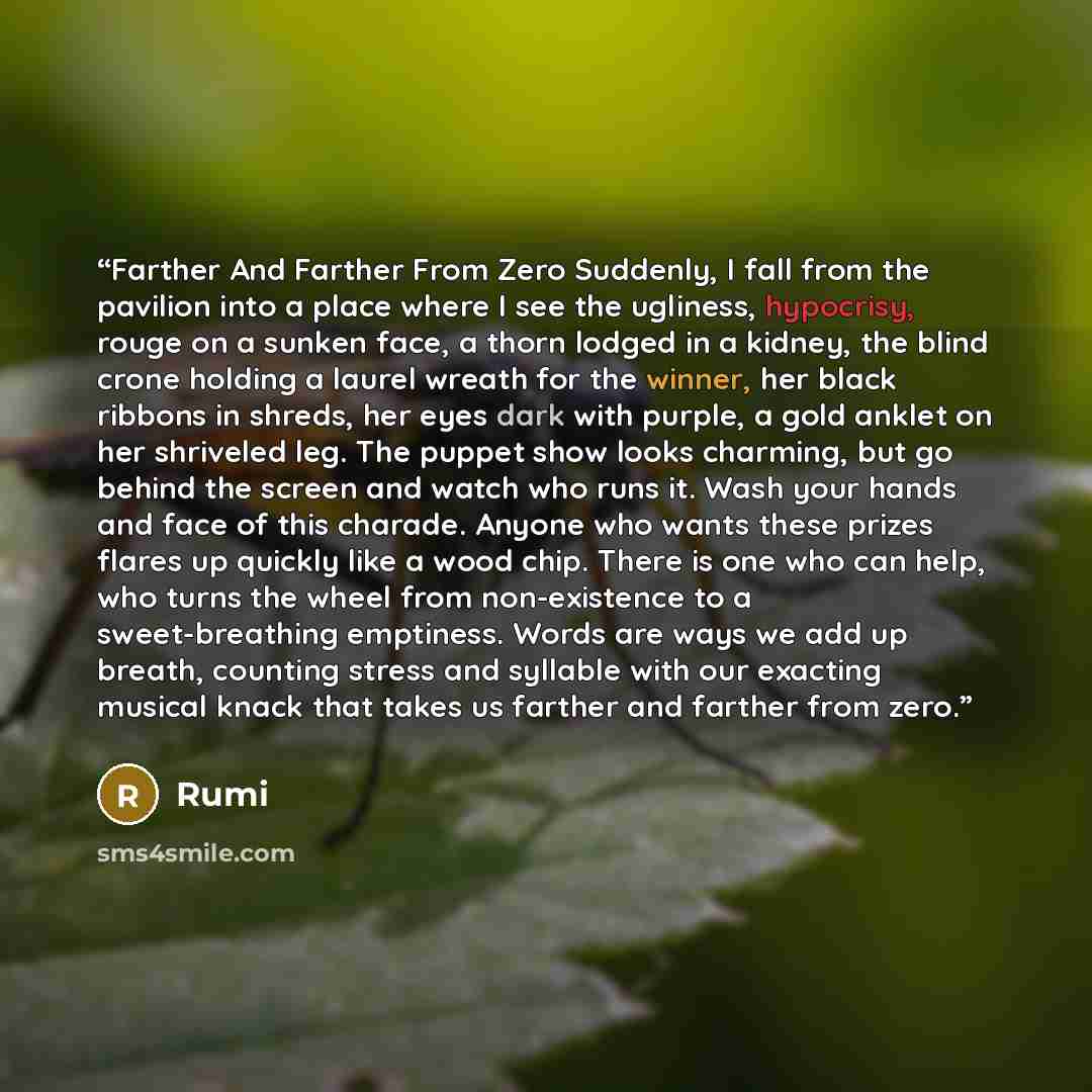 “Farther And Farther From Zero Suddenly, I fall from the pavilion into a place where I see the ugliness, hypocrisy, rouge on a sunken face, a thorn lodged in a kidney, the blind crone holding a laurel wreath for the winner, her black ribbons in shreds, her eyes dark with purple, a gold anklet on…” quote by Rumi