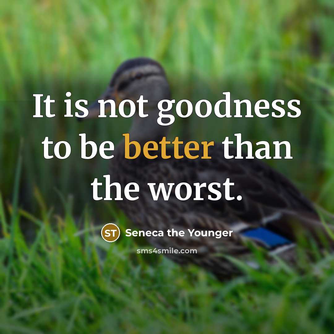 “It is not goodness to be better than the worst.” quote by Seneca the Younger