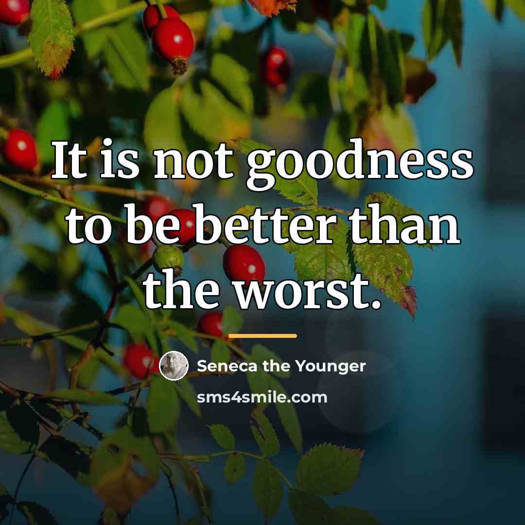 “It is not goodness to be better than the worst.…” quote by Seneca the Younger