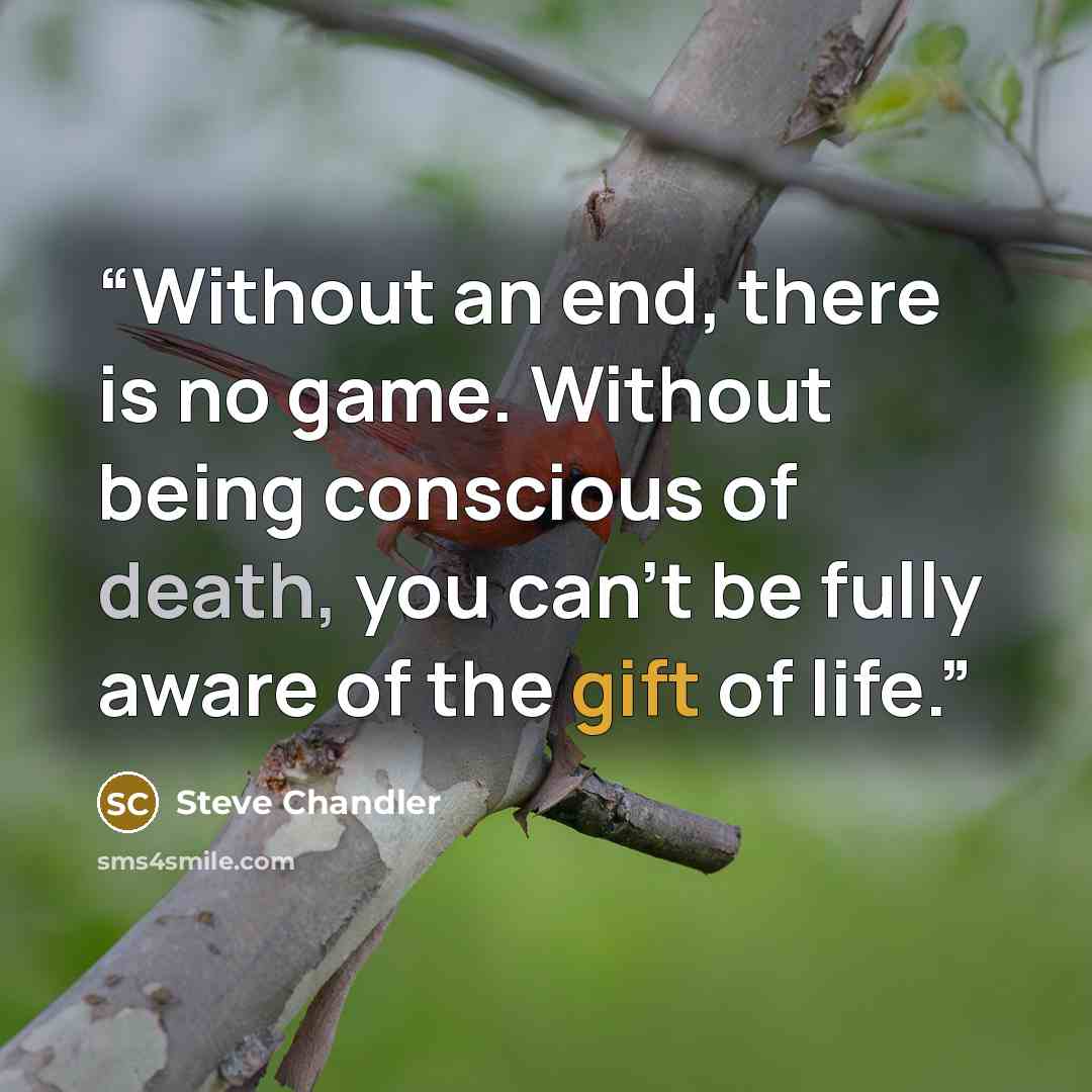 “Without an end, there is no game. Without being conscious of death, you can’t be fully aware of the gift of life.” quote by Steve Chandler