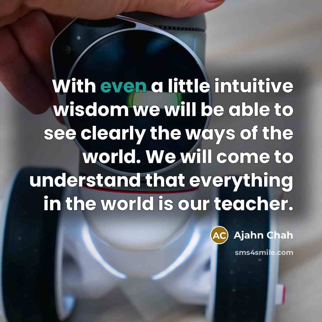 “With even a little intuitive wisdom we will be able…” quote by Ajahn Chah