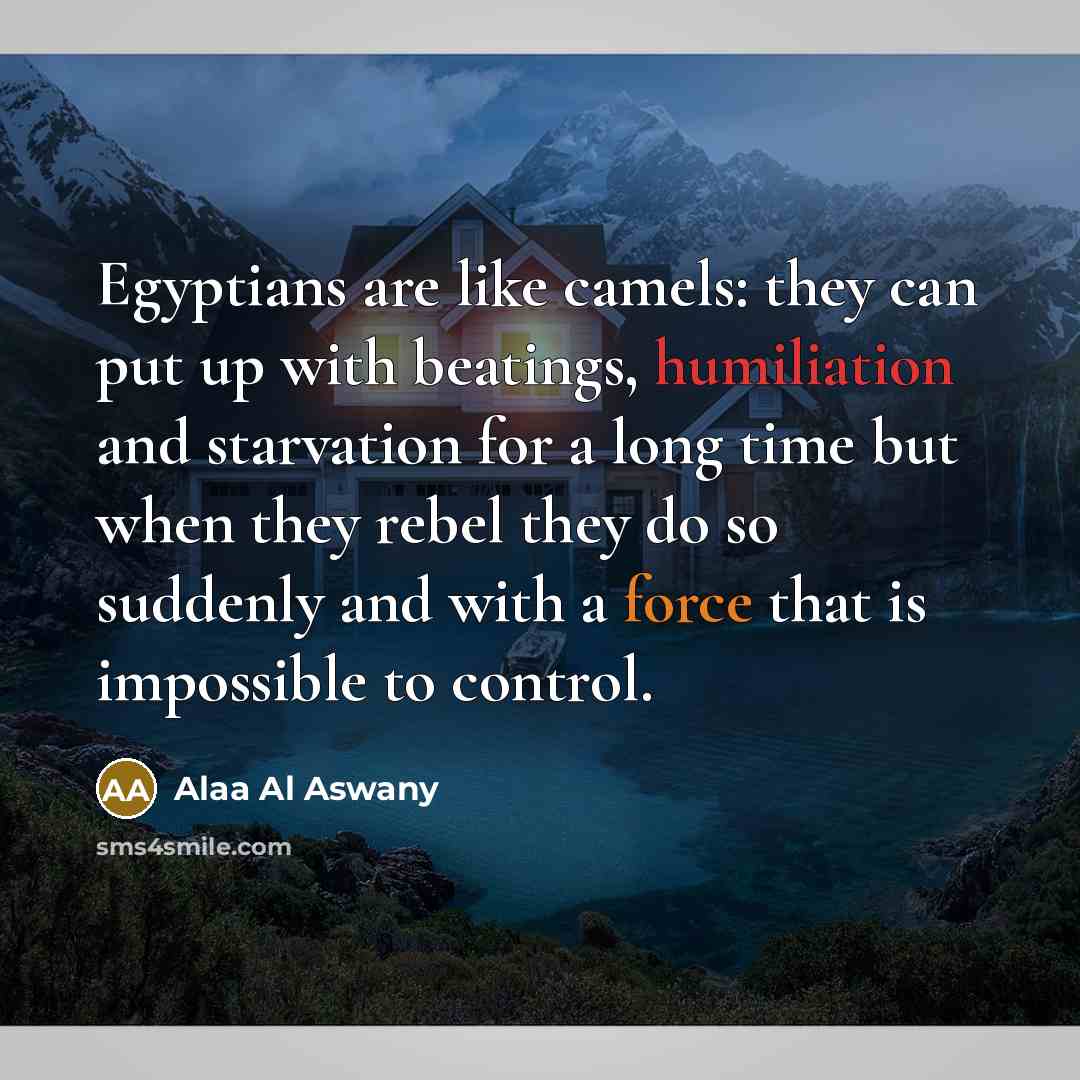 “Egyptians are like camels: they can put up with beatings,…” quote by Alaa Al Aswany