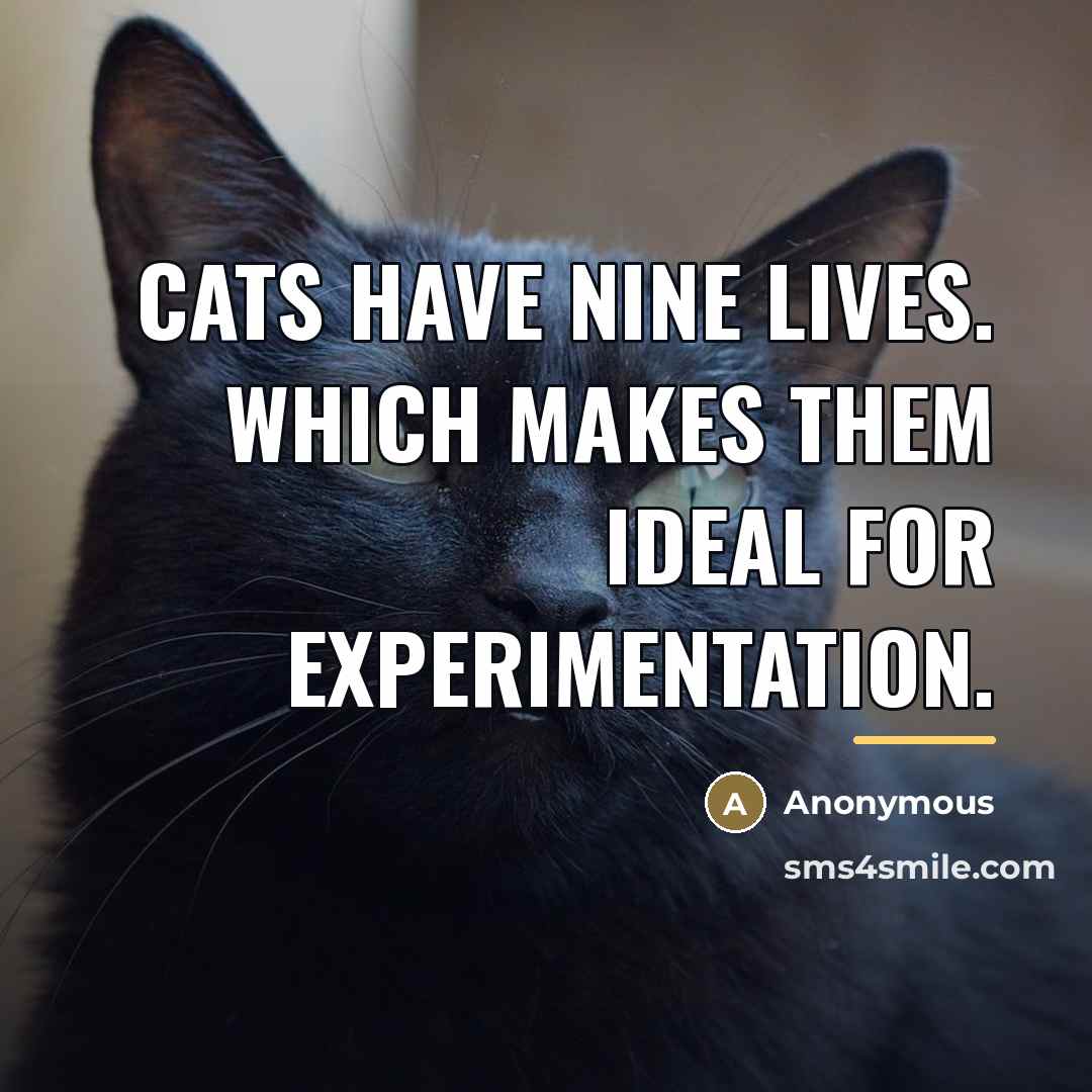 “Cats have nine lives. Which makes them ideal for experimentation.…” quote by Anonymous