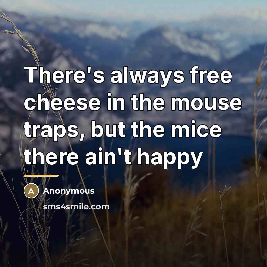 “There's always free cheese in the mouse traps, but the…” quote by Anonymous
