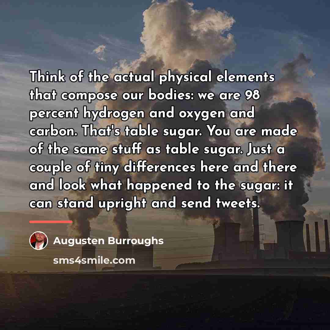 “Think of the actual physical elements that compose our bodies:…” quote by Augusten Burroughs