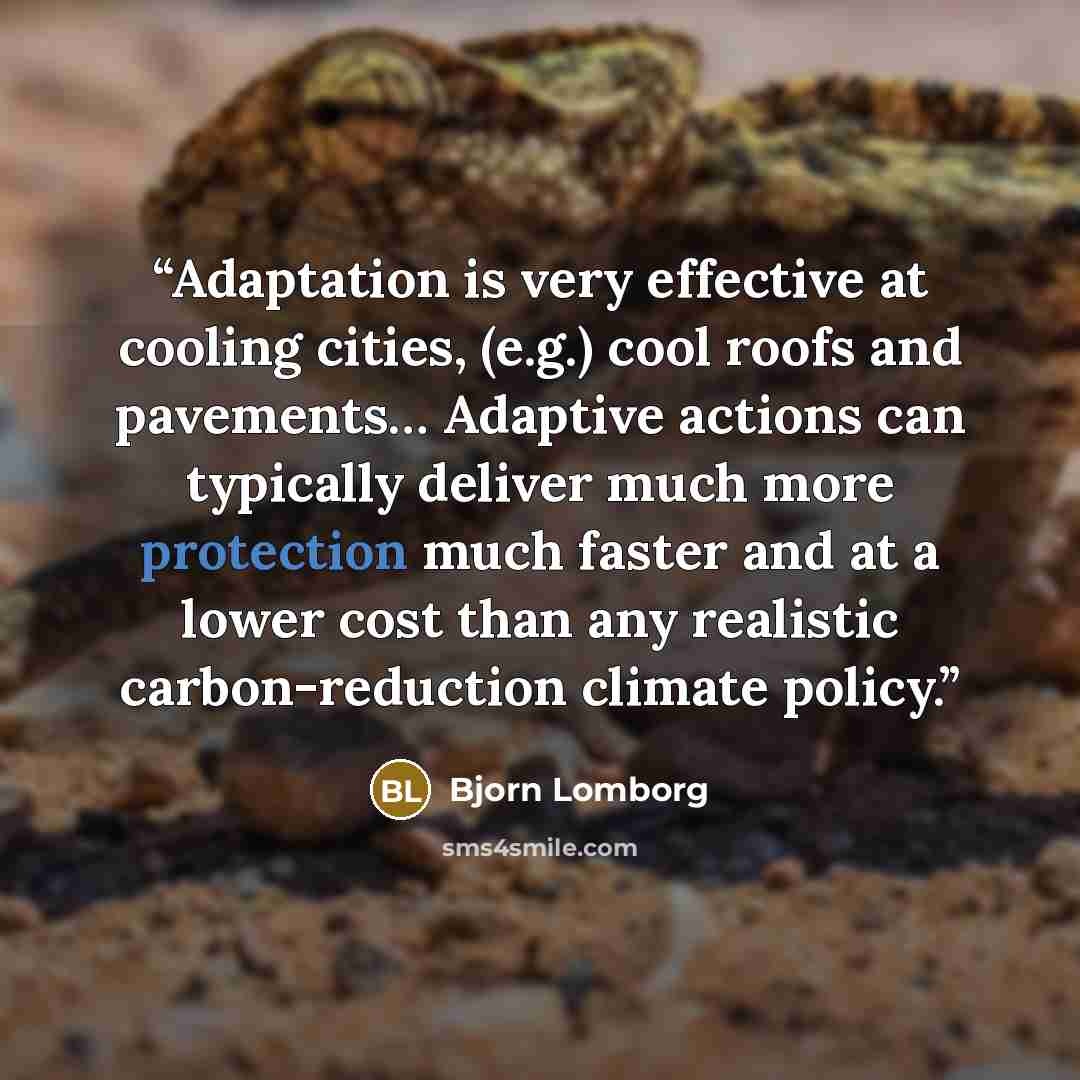 “Adaptation is very effective at cooling cities, (e.g.) cool roofs and pavements… Adaptive actions can typically deliver much more protection much faster and at a lower cost than any realistic carbon-reduction climate policy.” quote by Bjorn Lomborg
