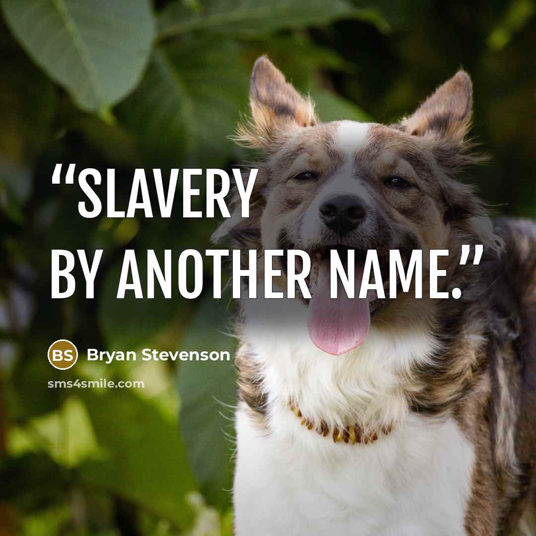 “Slavery by Another Name.” quote by Bryan Stevenson