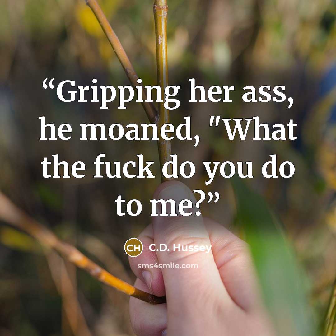 “Gripping her ass, he moaned, "What the fuck do you do to me?” quote by C.D. Hussey