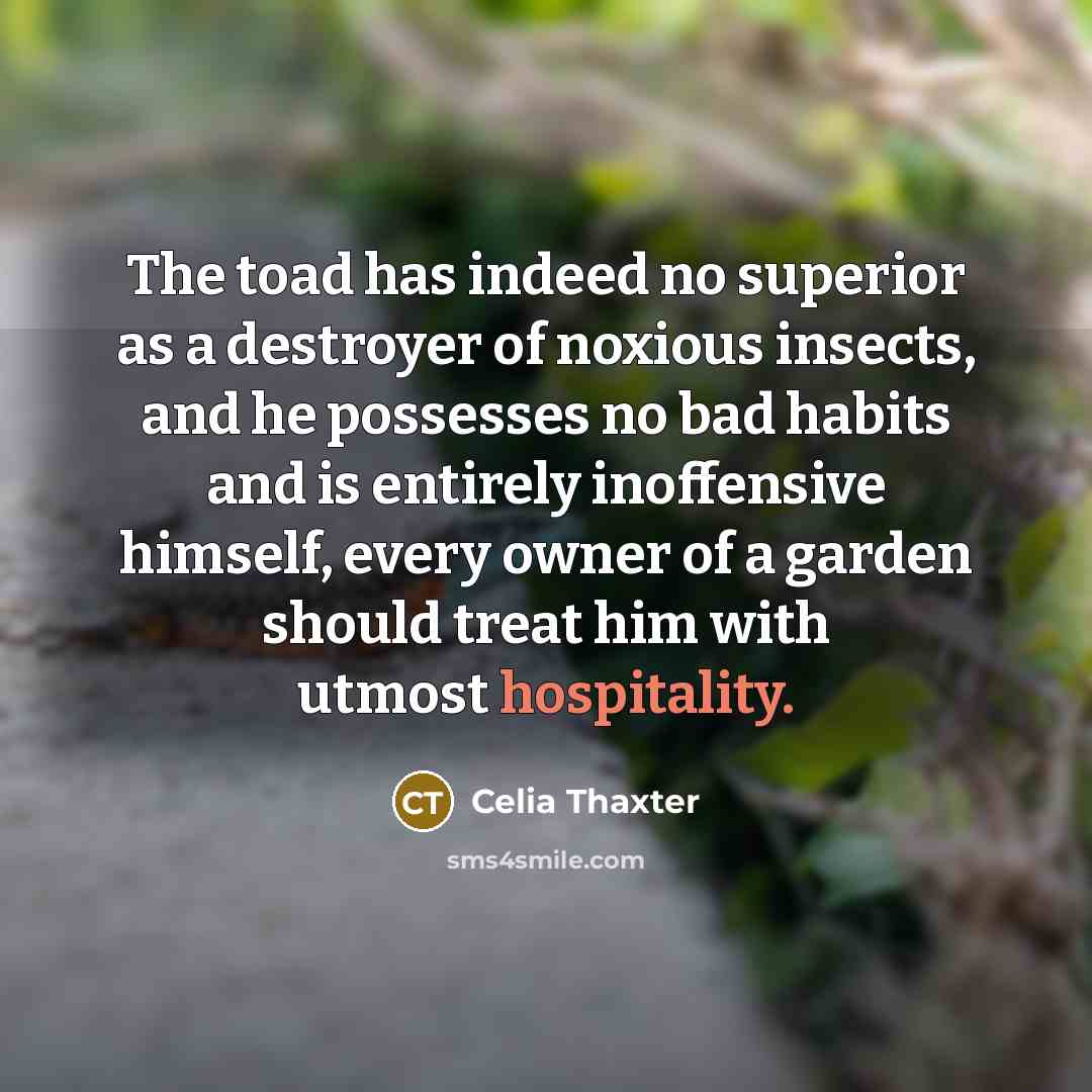 “The toad has indeed no superior as a destroyer of…” quote by Celia Thaxter