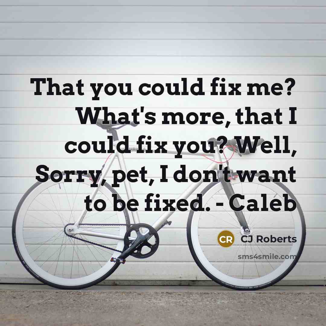 “That you could fix me? What's more, that I could…” quote by CJ Roberts