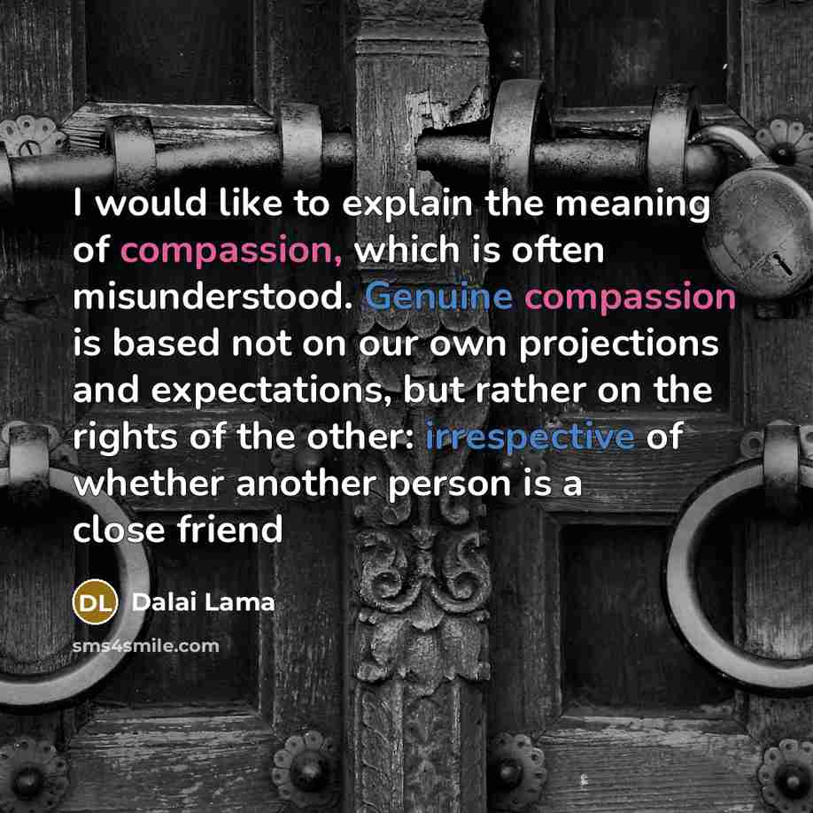 “I would like to explain the meaning of compassion, which…” quote by Dalai Lama