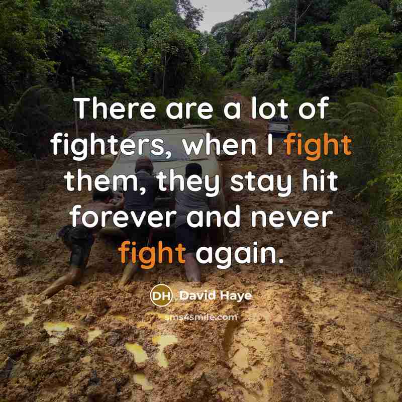 “There are a lot of fighters, when I fight them,…” quote by David Haye