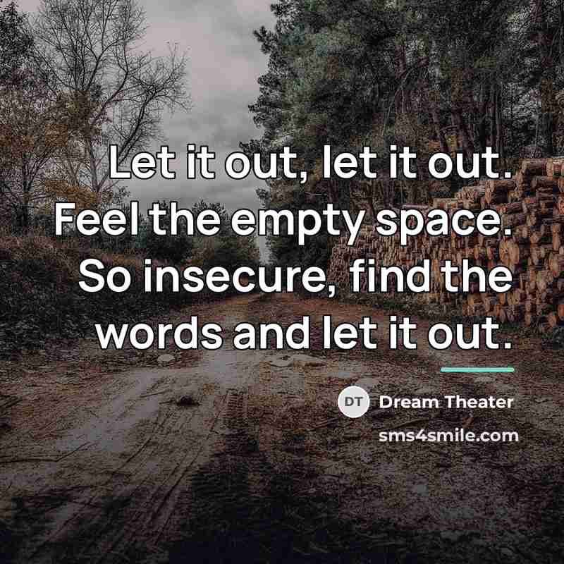 “Let it out, let it out. Feel the empty space.…” quote by Dream Theater