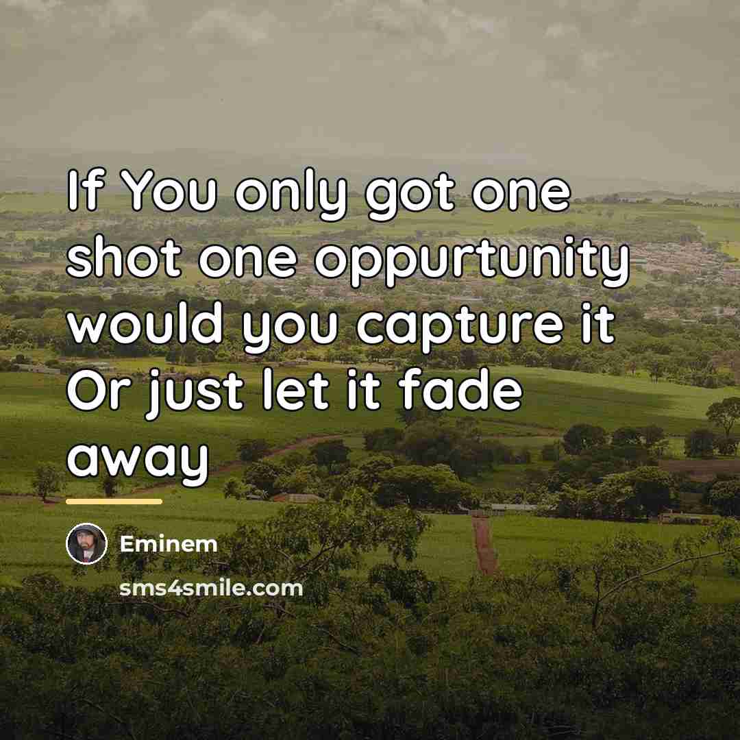 “If You only got one shot one oppurtunity would you…” quote by Eminem