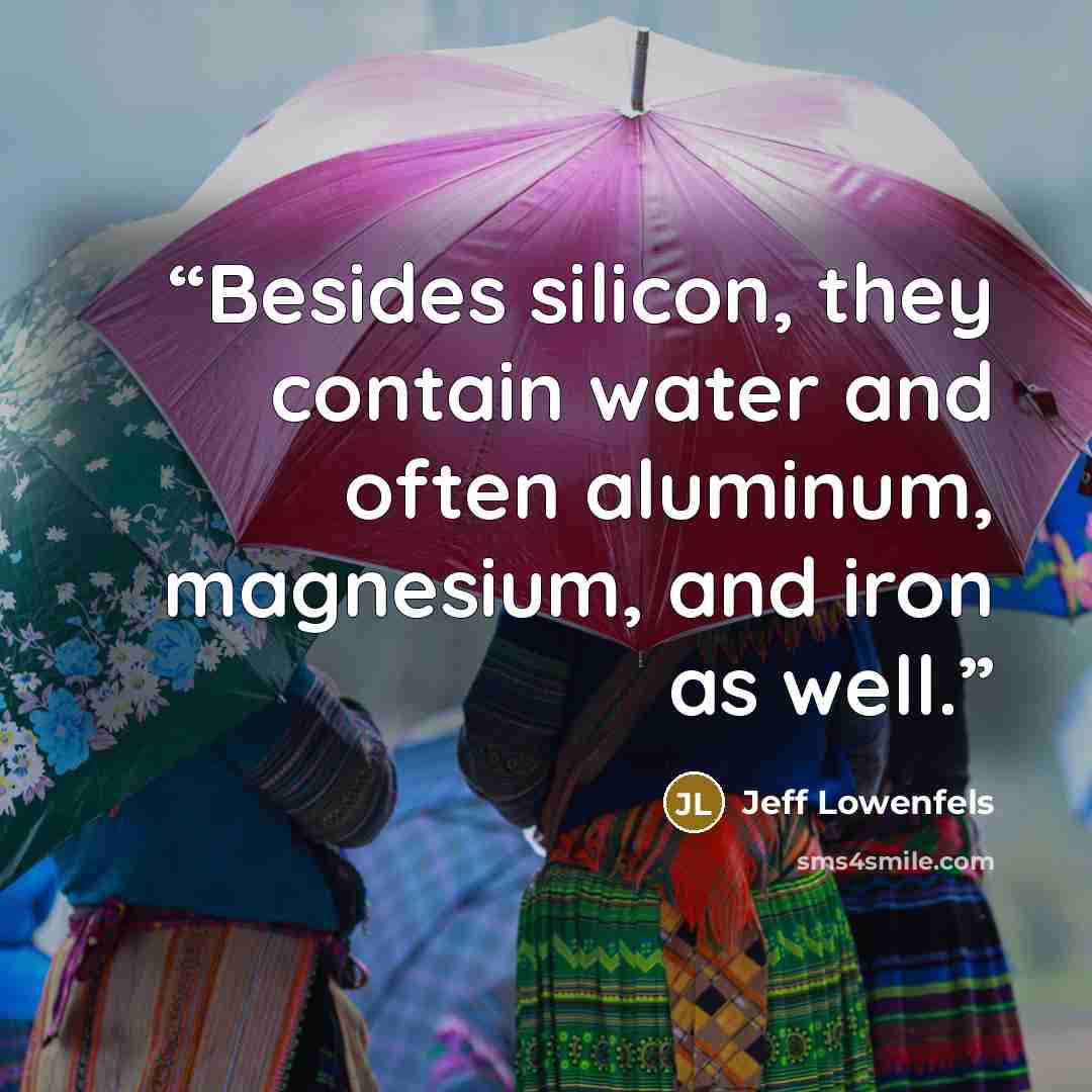“Besides silicon, they contain water and often aluminum, magnesium, and iron as well.” quote by Jeff Lowenfels