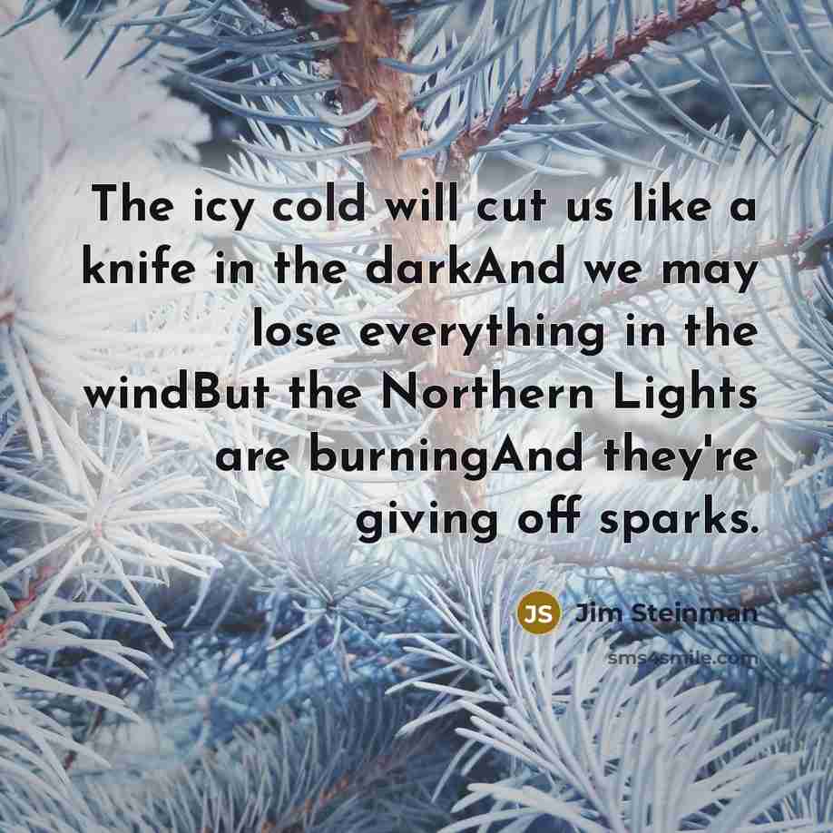 “The icy cold will cut us like a knife in…” quote by Jim Steinman